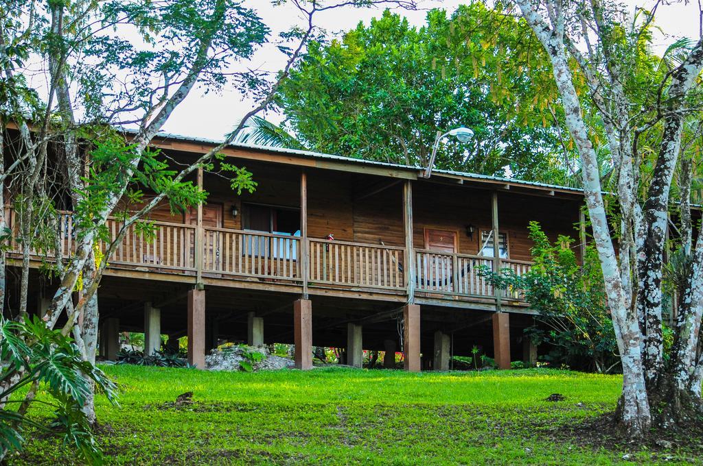 The Log Cab-Inn San Ignacio Pokój zdjęcie