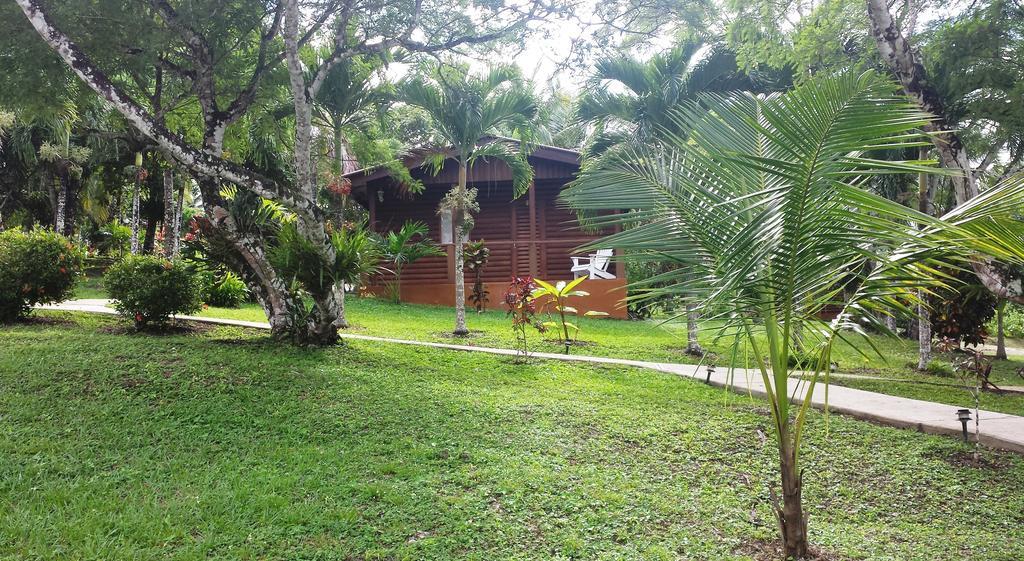The Log Cab-Inn San Ignacio Zewnętrze zdjęcie