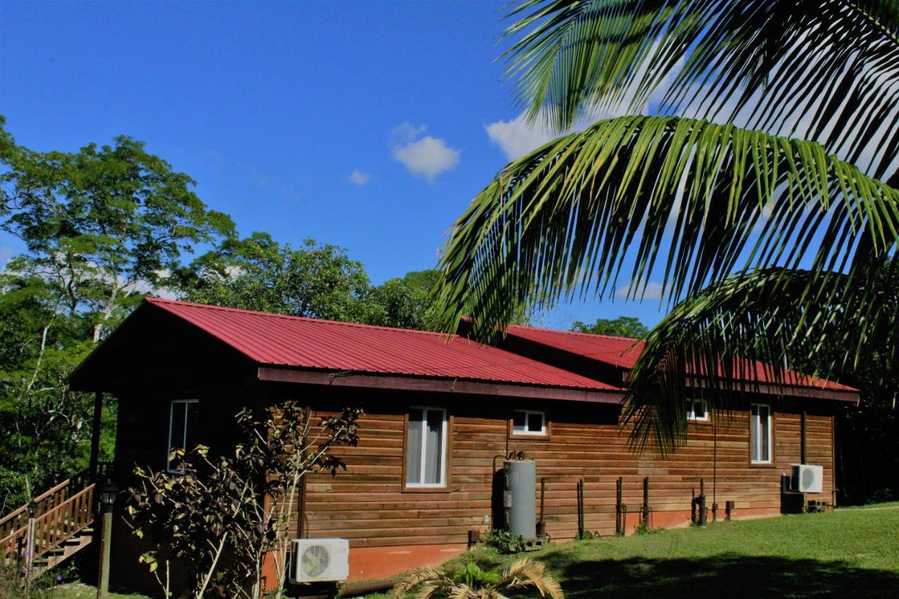 The Log Cab-Inn San Ignacio Zewnętrze zdjęcie