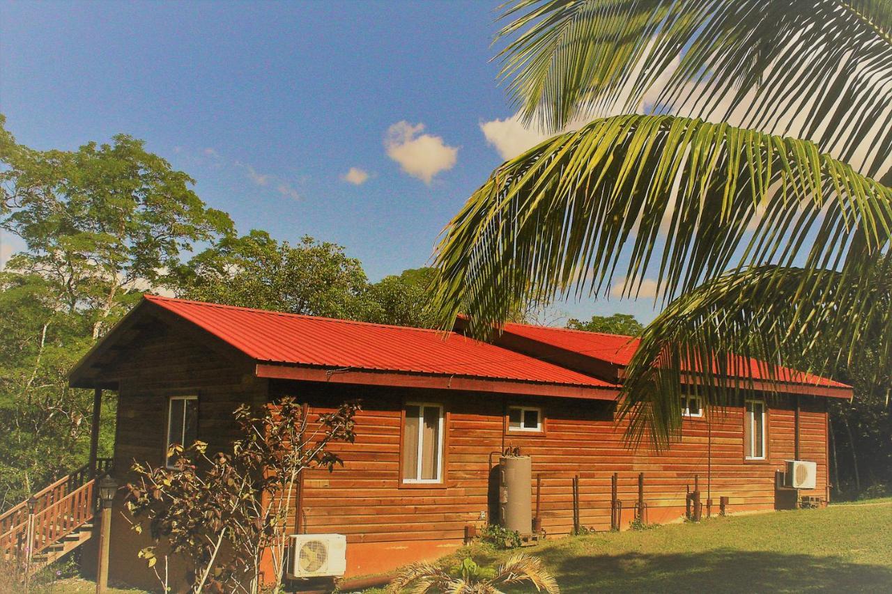 The Log Cab-Inn San Ignacio Zewnętrze zdjęcie